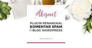 Cara ampuh menangkal komentar spam di blog wordpress dengan akismet